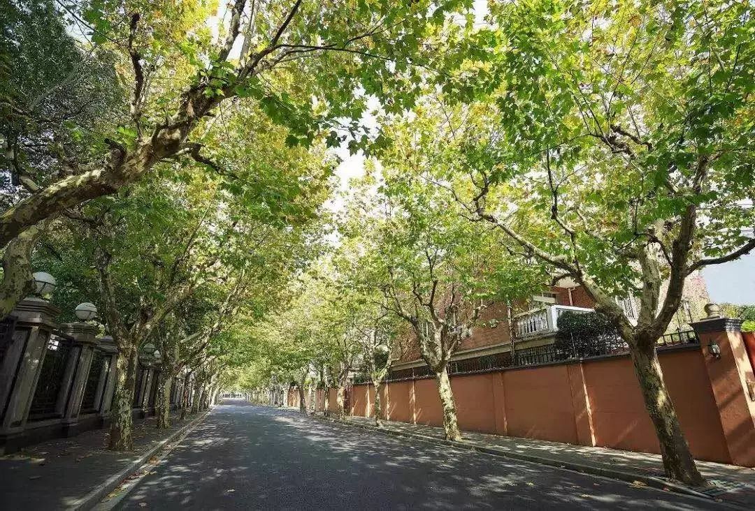 长宁内环内「淮海名邸」百年底蕴豪宅，精装现房 | 全新房源！