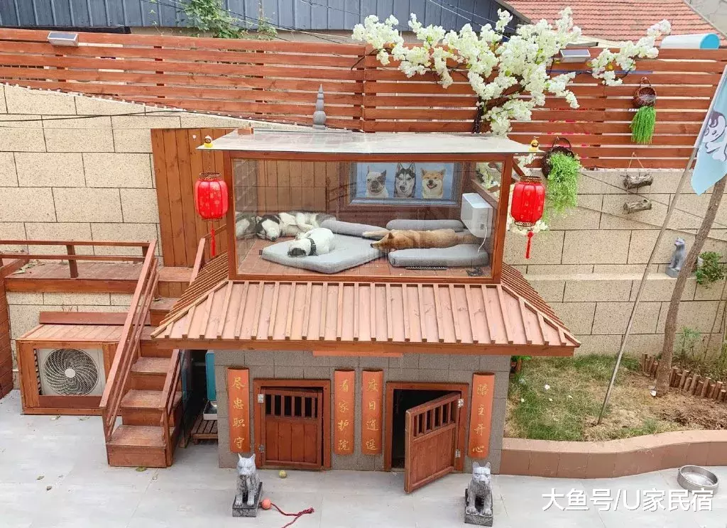 U+推荐 | 豪华狗窝：中式泳池豪宅、田园风情别墅、三层跳台别墅，人看了都想住