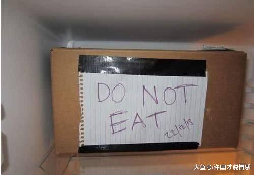 宠物主突发奇想，把乌龟装箱放进冰箱，两个月后主人高兴坏了！