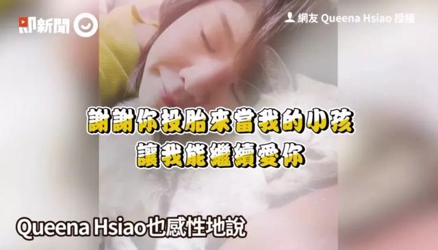 三年前去世的爱猫，竟然遵守约定回来做了我的宝宝！