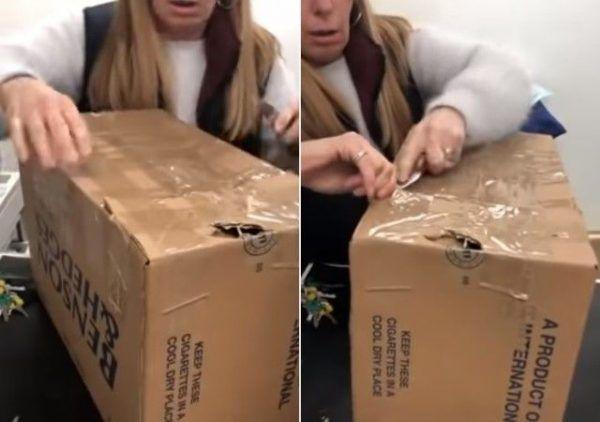 英国出现虐猫事件，密封纸箱中装着11只猫，猫咪差点被闷死