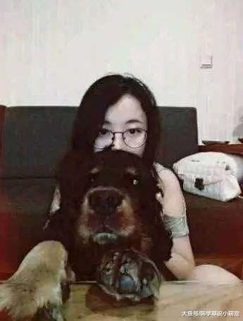 狗狗去世前咬住女孩的拖鞋，随后女孩拿起拖鞋后，忍不住湿了眼眶