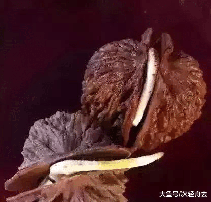 ＂文玩造假又出新手段？套路太深，一不小心就上当＂