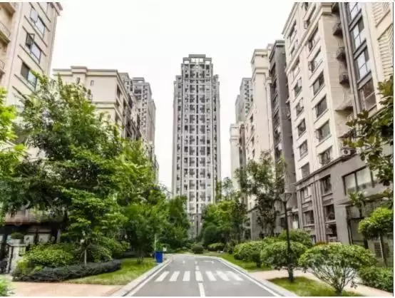 请回答2010：大面九年的进击与柔情