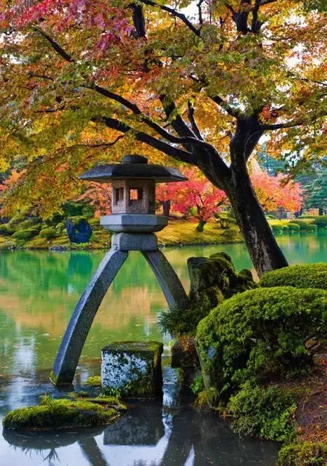 佛系庭院，就是极致空灵！