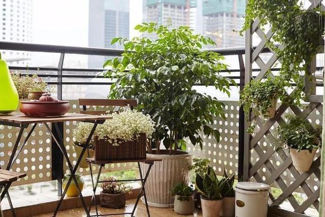 茶绿色的小家也能这么温馨感人, 我的新房美不美?