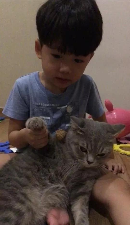 老师发的文件需要家长的签名，然后……