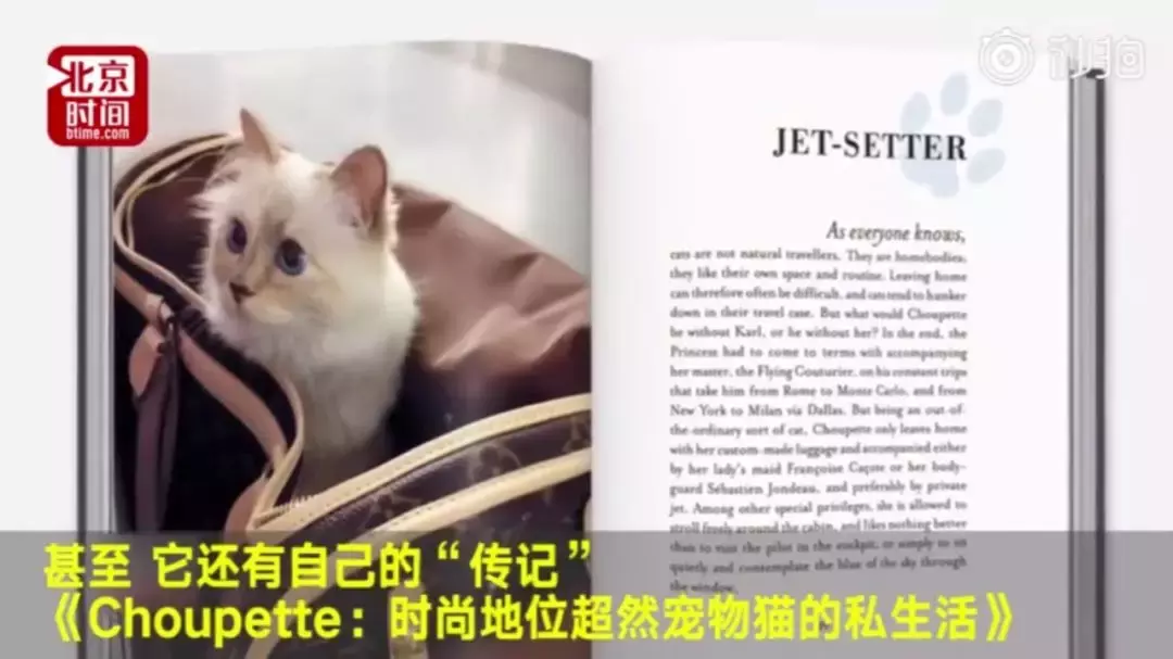 老佛爷走后，他的13亿遗产，竟要留给了它！