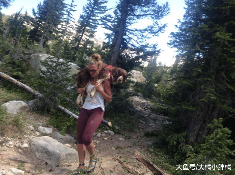受伤狗狗被困山中，女子扛着它艰难下山，父亲从旁鼓励，有爱之家