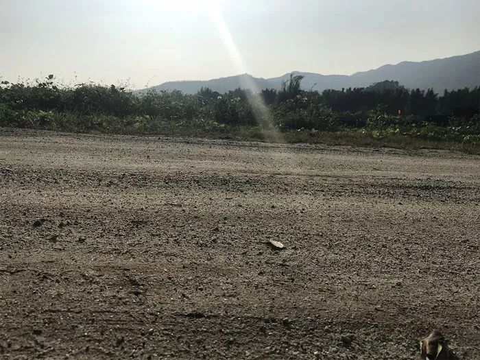 起始总价5.56亿！11月27日，?深汕合作区将出让5宗地