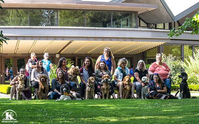 剧院全是狗狗，但每一只都乖乖坐着不吵闹，这是在干什么？