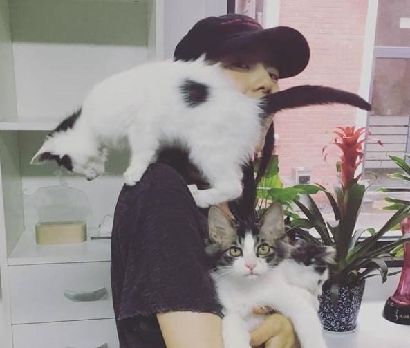 晒晒高圆圆现实中的家，夫妻俩都很喜欢简洁，全屋色调就只有白色