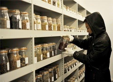 中國的“種子方舟”，保藏在地下6米處，可以跨越千年