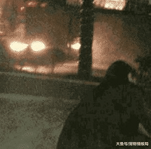 女子穿内衣游大街，背后还有一辆轿车跟着，发现猫腻后网友大骂，就该这样！