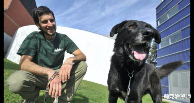 狗狗被收养一个月后仍不开心，意外发现的一封信，解释了所有原因