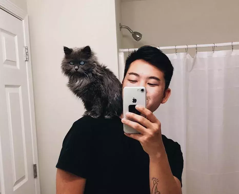 铲屎官收养盲猫后，通过镜头发现了它眼里的星辰大海！