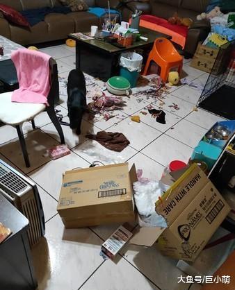 土狗拆家被抓现行，躲进沙发底屁股还被卡住，主人：准备烤乳狗了