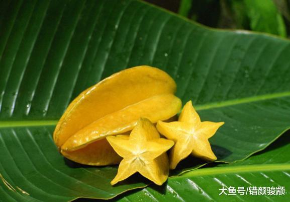 南方最愛的3種水果，北方人看到大呼不喜歡吃，南方人卻愛不釋口