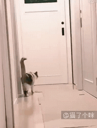 桃园四结义，最后一个是谁