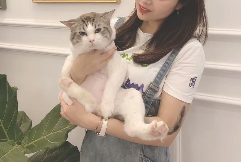 看见铲屎官靠近，猫咪拔腿就跑，实在是被错误的撸猫姿势整惨了