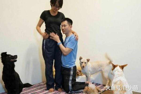 4狗2猫争玩手推车，男主人还一起玩！女主人：玩坏了你背孩子出门