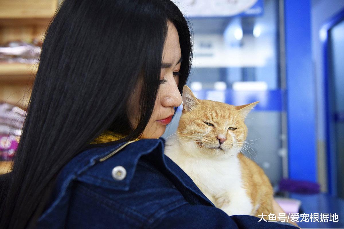 猫主因搬家发布领养信息，12只猫被弃烂尾楼，被拆穿后疯狂打脸
