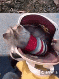 宜宾地震，他们不仅自己逃生，还带上了家里的猫