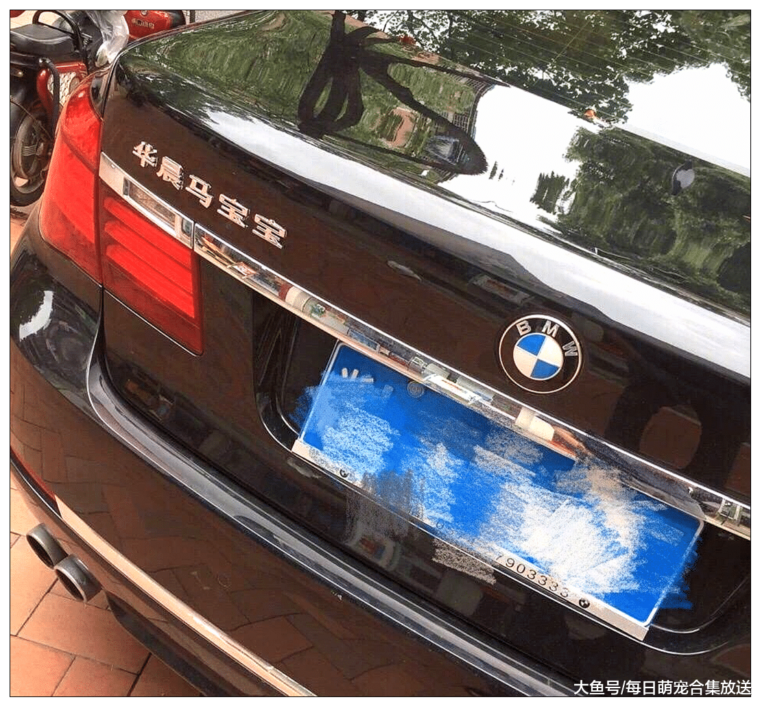 盘点：被恶搞的车标，捷豹我忍了，华晨马宝宝实在是忍无可忍了
