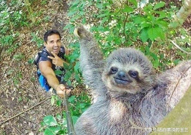 7张可以吹一辈子的自拍，可遇不可求，真的是帅化了