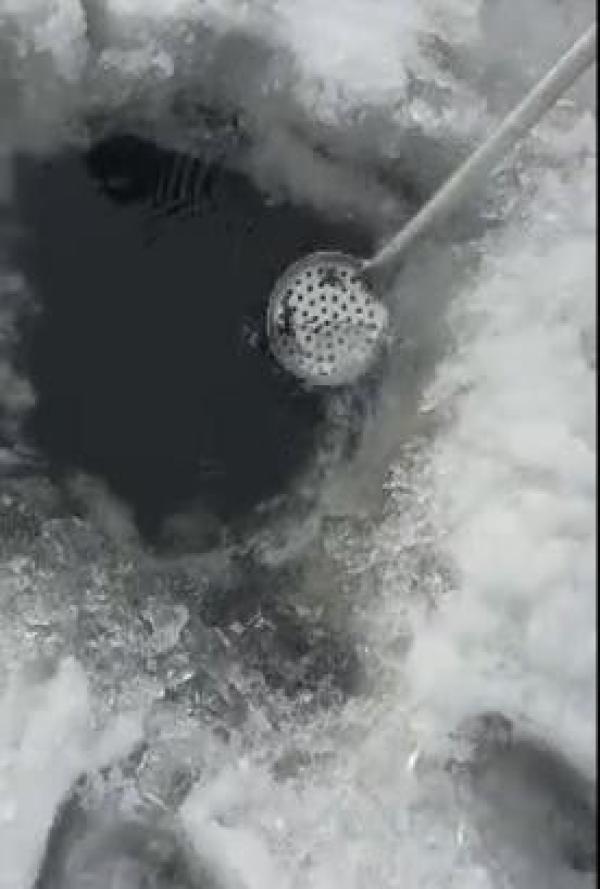 男子冰窟上扒开一个口, 钓上来让大家伙羡慕，他笑得也合不拢嘴！