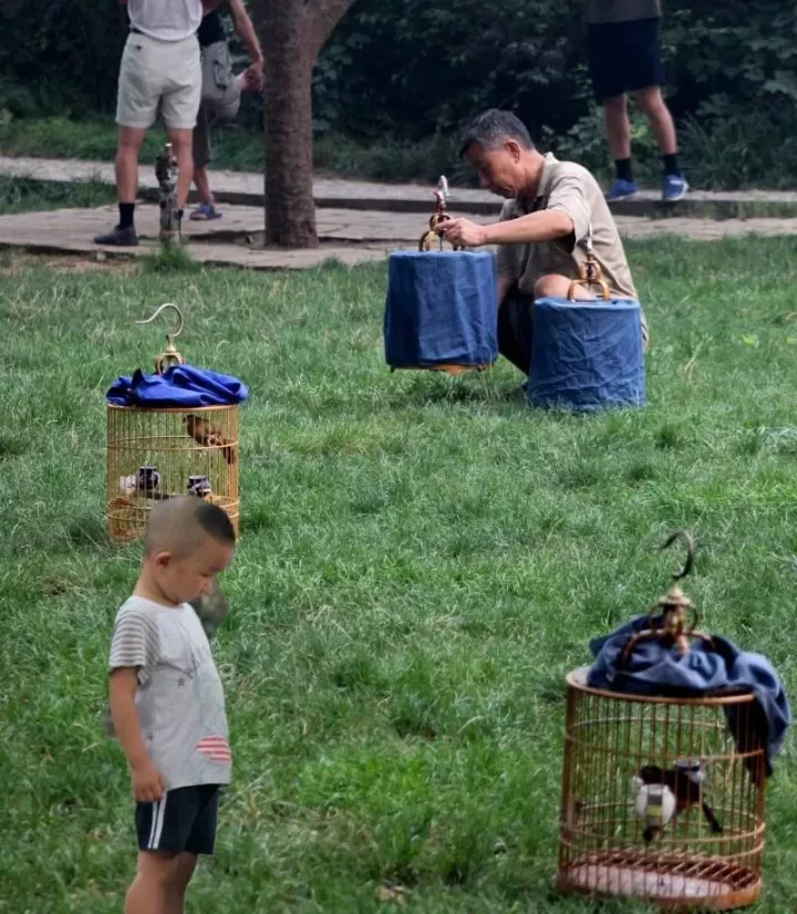 北京人懒？别和北京人比懒，他们懒得和您比！