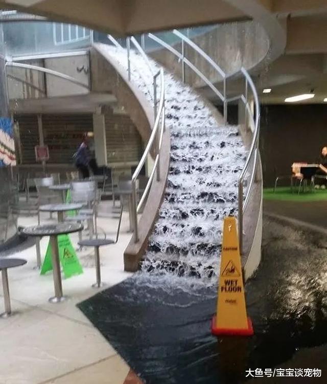 让人细思极恐的图片，到底当时发生了什么？