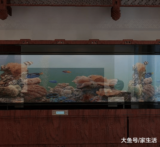 家里切记别放这些东西, 暗喻家财难聚, 有钱人一早就知道了