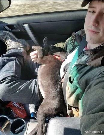 兄弟姐妹都有了新家，只有它无人问津，直到有一天……