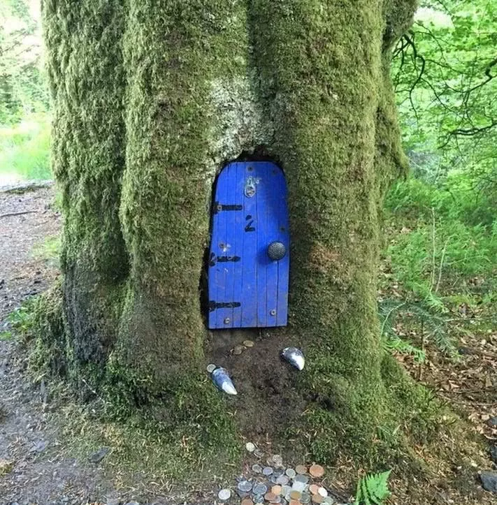 这些“神奇”的发现, 有点让人摸不着头脑, 不知道是什么