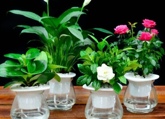 除甲醛不要心存侥幸，甲醛污染源就在家中，试试它们