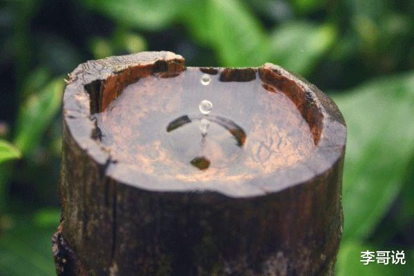 活得有趣，才是最好的人生状态！