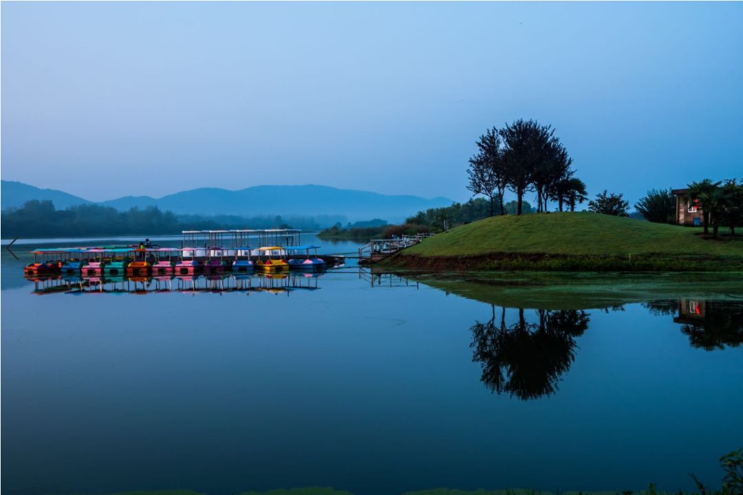 败家不如“BUY”家，这个双十一，碧桂园给你最好的买房机会！