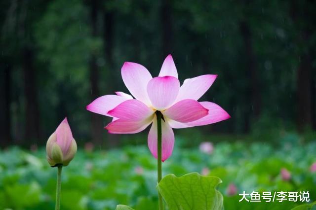 守嘴不惹祸，守心不出错！