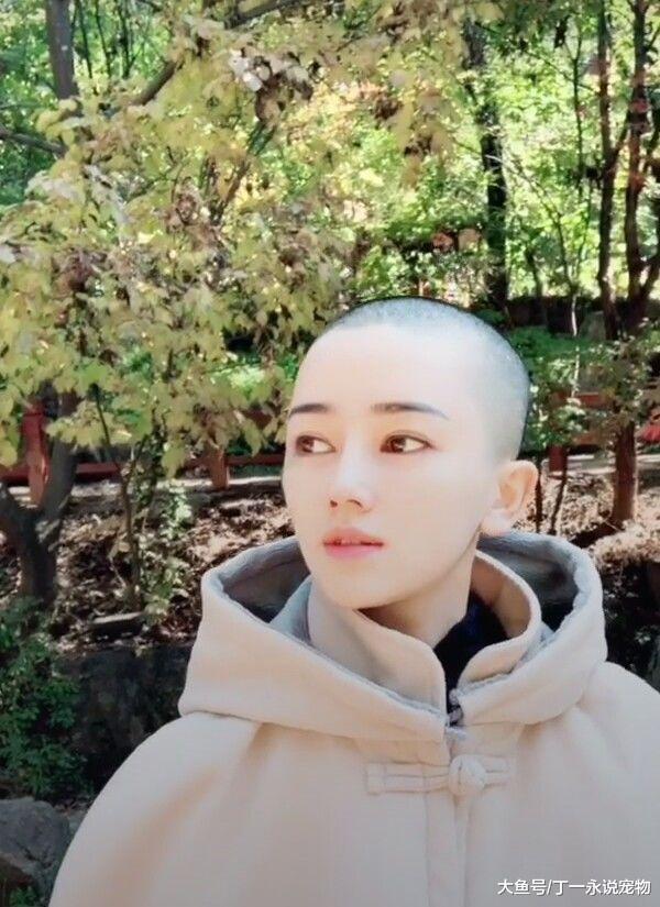 这位尼姑小姐姐火了，比范冰冰还美，圈粉百万，网友: 初恋的感觉