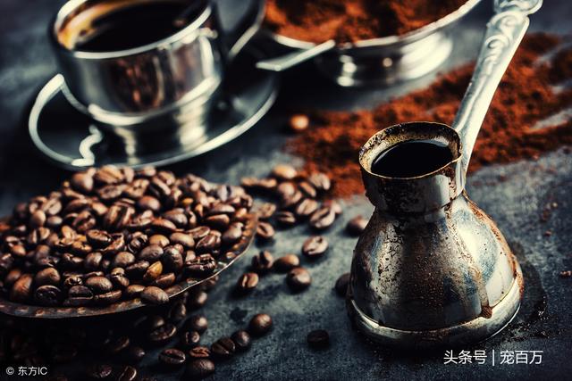 新手铲屎官要注意，为了狗狗的健康，有五种食品不能喂宠物狗吃
