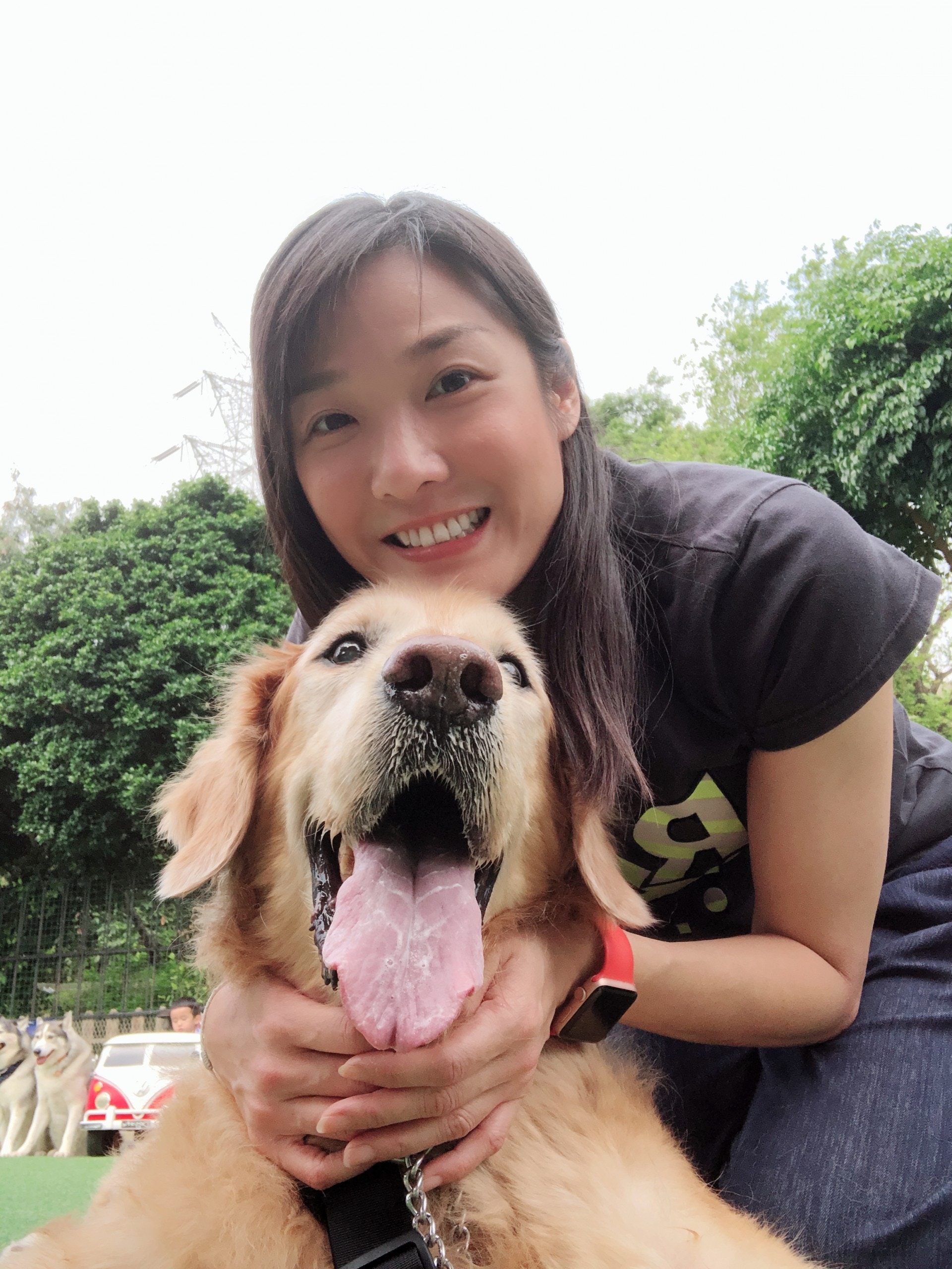 老金毛患淋巴癌，兽医告知还剩一个月，妈妈研读600页英文书救命