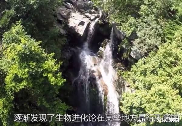 地球上本没有人类的存在，那么“第一个人”到底是从何而来的呢？