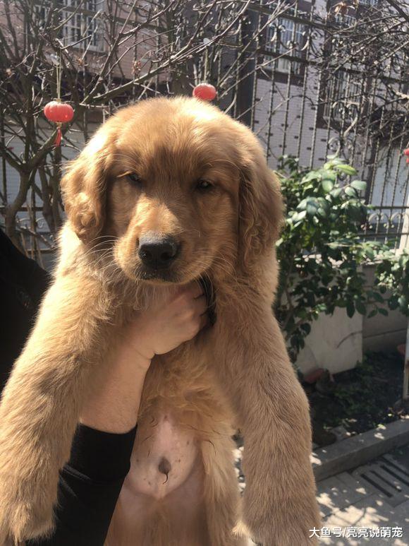 有吃有喝并不快乐，我想要自由的生活，没自由不开心