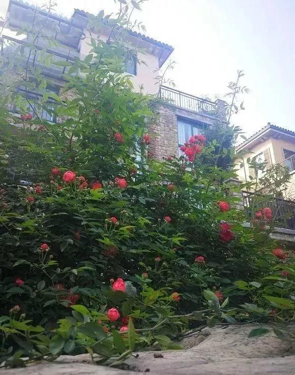8萬塊錢在村子弄了這樣一個小院，值嗎？