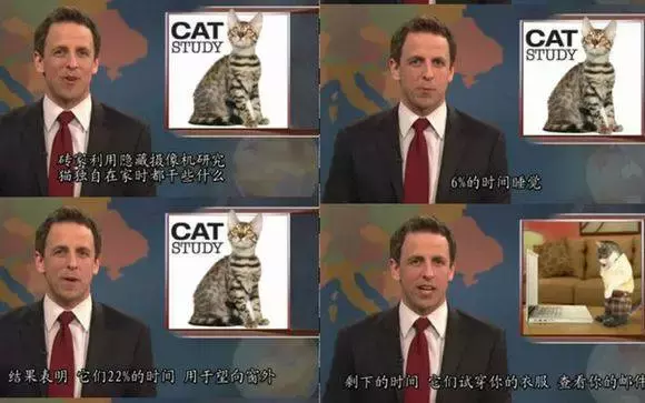 为什么我觉得猫是很恐怖的动物呢？