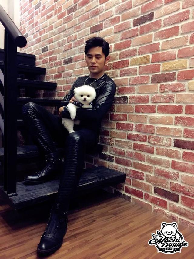 周杰伦与昆凌的定情信物, 周家最受宠的毛孩子, 萌软比熊麻吉