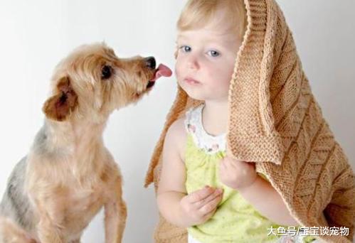 狗狗舔这五个地方，其实是有事要告诉你！