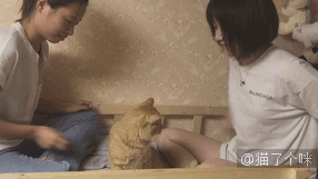 皮的下场，瞧这绝望的小眼神儿