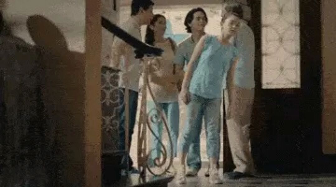 国外空巢收留流浪狗引发的深思